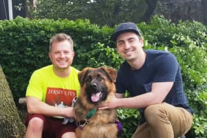Meet Surrendered German Shepherd Puppy's New Bergen County Dads