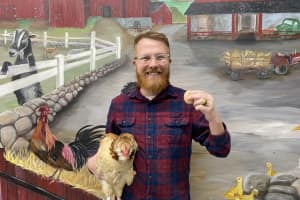 'It's Hen Day': Muscoot Farm's Cluxatawney Henrietta Predicts Early Spring