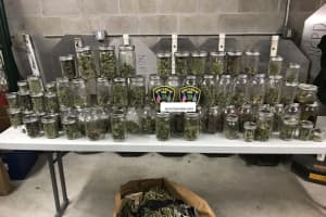 Man Charged With Operating Marijuana Grow House In New Canaan