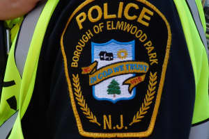 HERO IN BLUE: Elmwood Park Police Officer Stops Boy, 15, From Suicide Jump