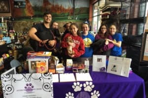 Puppy House Fundraiser To Benefit Homeless Dogs In Lyndhurst