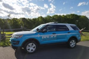 Police ID Victim Killed In Virginia Crash Involving Speeding Car