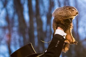 Decision Day: Punxsutawney Phil Makes His Awaited Prediction With Arctic Blast Due To Arrive