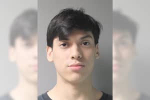 20-Year-Old Sleeping In Car Assaults Officers On Long Island, Police Say