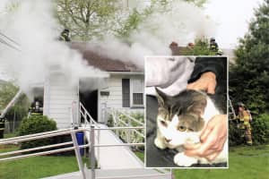 PHOTOS: Saddle Brook Police Officer Rescues Cat From Smoky House Blaze