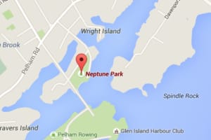 Two Parks, Rec Employees Injured By Falling Tree At Park In New Rochelle