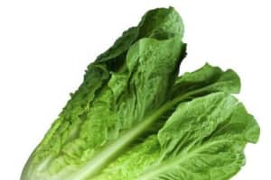 FDA IDs Source Of Tainted Romaine That Caused E. Coli Scare