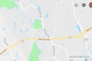 Driver, 25, Killed When Tree Falls On Car On Merritt Parkway