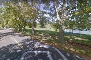 Man Killed After Crashing Into Tree At Park In Stamford, Police Say