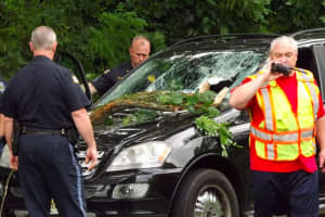 Falling Glen Rock Tree Limb Cracks Mercedes Windshield; Driver Hospitalized With Head Injuries