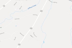 Road Closure: Downed Tree Shuts Down Route 208 Stretch