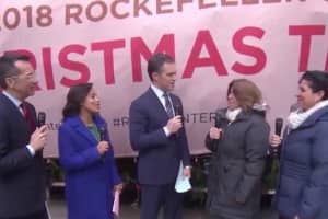 Rockefeller Center Christmas Tree From Area Hamlet Arrives In Manhattan
