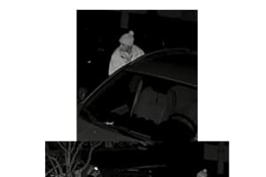 Know Them? Police Look To ID Suspects In Vehicle Burglaries