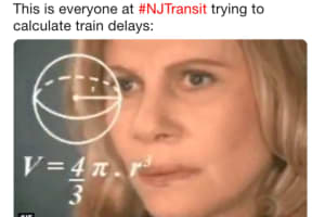 Thanksgiving Commuters Aren't Happy With NJ Transit: Read The Tweets