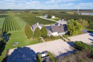95-Acre North Fork Vineyard, Winery Of Late Movie Executive Listed At $17.9M