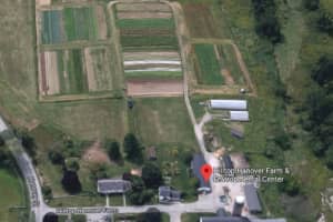 Westchester's Hilltop Hanover Farm Gets Grant To Start Nursery
