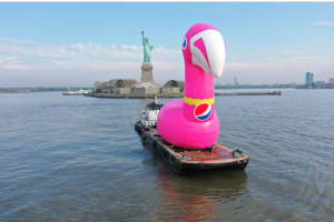Pink Flamingo On Hudson? It Was All Part Of Pepsi Marketing Campaign