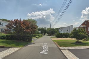 Two Dogs Quarantined After Biting Mailman In Scarsdale, Police Say