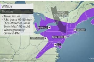Whipping Winds Mark Start Of Thanksgiving Weekend, With Snow Expected At End