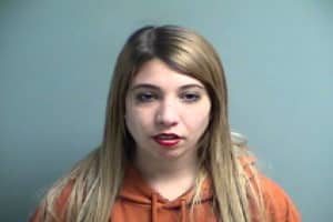 Police: Sussex County Woman Continues Harassing Officer She Bit Last Year