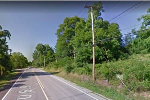 Woman Killed When Tree Falls On Car On Route 9 In Staatsburg