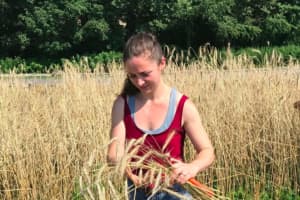 Couple Who Meet At Culinary Institute Open Eatery With Wheat From Dutchess