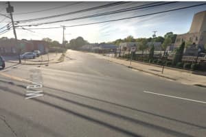 Loose Dogs Bite Two Women At Busy Suffolk County Intersection