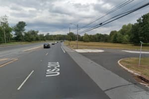 KNOW ANYTHING? Police Seek Clues After Driver Throws Dogs Out Car Window On Route 202