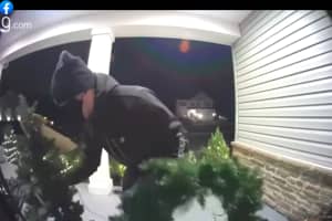 KNOW ANYTHING? PA Porch Pirate Swipes Holiday Decor