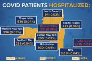 COVID-19: Long Island Has Highest Hospitalization, Positivity Rates In NY; Latest Breakdown
