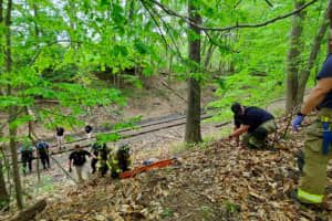 Missing Woman Found By Central Jersey Hiker In 675-Acre Park