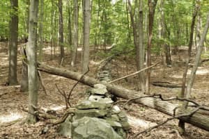 Putnam Man Found Dead On Park Trail