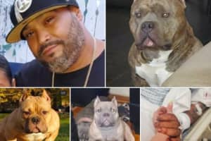 Support Surges For Driver Seriously Injured, Dogs Dead In Multi-Car NJ Turnpike Crash