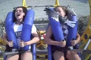VIDEO: Seagull Thrills Pennsylvania Teens On Wildwood Rollercoaster Ride