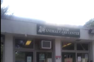 Rockland DA Serves Search Warrant At Hi-Tor Animal Shelter