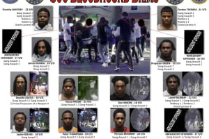 14 Charged In Violent Yonkers Gang Assault