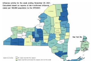NY Sees Increase In Flu Cases: Here Are Most Affected Counties