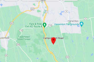 Skeletal Remains Discovered In Wooded Area In Connecticut, State Police Say