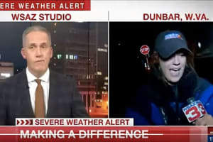 Resilient Reporter Stuns Viewers After Being Struck By SUV On Live TV
