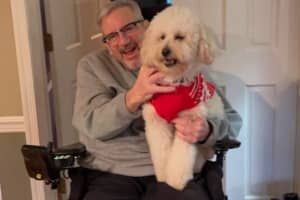 Support Surges For Beloved Bucks County Man Left Paralyzed After 4 Spine Infections