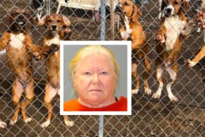 NJ Woman Hoarding 44 Dog Carcasses Admits To Killing 6, Gets Prison Time: Prosecutor
