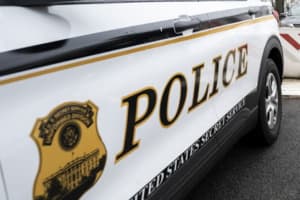 Driver Fleeing From Secret Service Kills Pedestrian In DC: Police