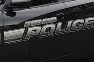 Man Killed In Car Crash With Tree: Morris Plains PD