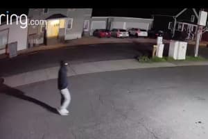 Man Wanted For Vandalizing Public, Private Areas In CT