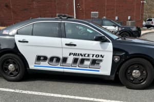 Hyundai Driver, 86, Dies After Crashing Into Tree In Princeton, Police Say