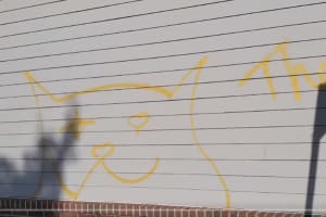 Police Arrest So-Called 'Mad Cat' Graffiti Vandal In Central Jersey