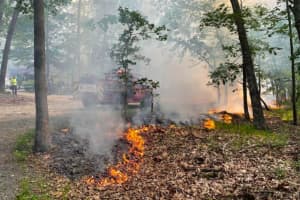 Wildfire Burns 2,100 Acres Of NJ's Wharton State Forest