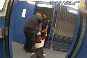 Five New Haven PD Cops On Leave After Suspect Injured While In Custody