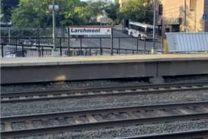 ID Released For Person Struck, Killed By Train In Larchmont
