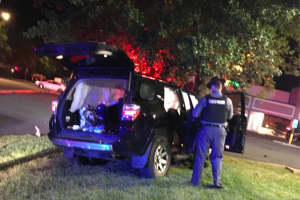 Alexandria Gunman In Richmond Murder Crashes In 101 MPH I-95 Pursuit: Police
